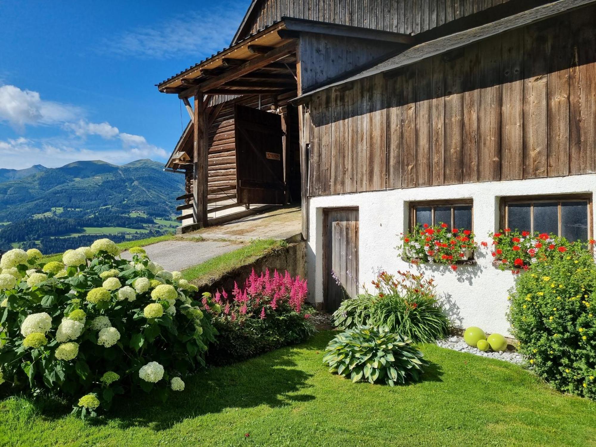 Appartement Kulmerhof - Farm à Pruggern Extérieur photo