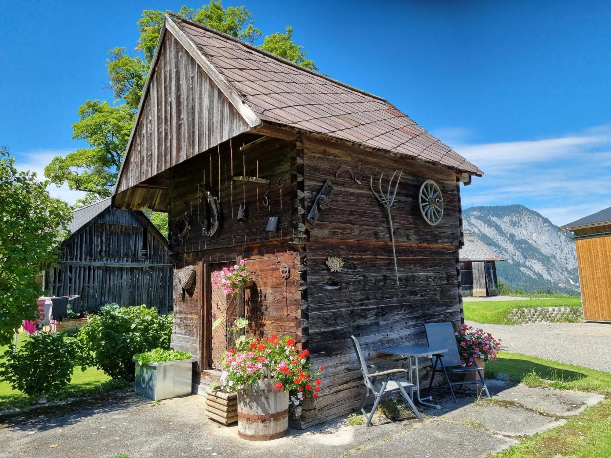 Appartement Kulmerhof - Farm à Pruggern Extérieur photo
